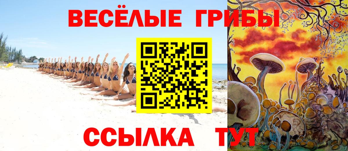 Галлюциногенные грибы Cubensis Дивногорск