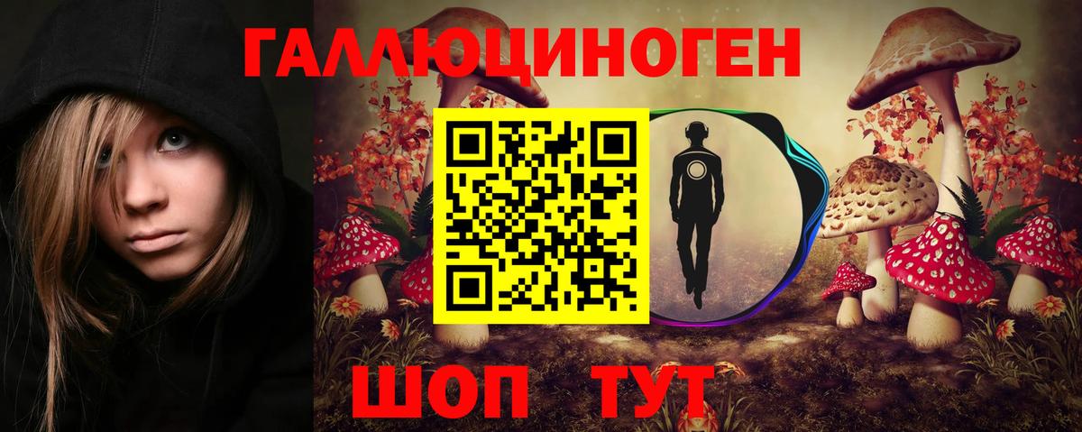 Дивногорск  Галлюциногенные грибы GOLDEN TEACHER  Вход с VPN 